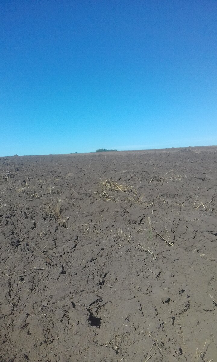 личное фото