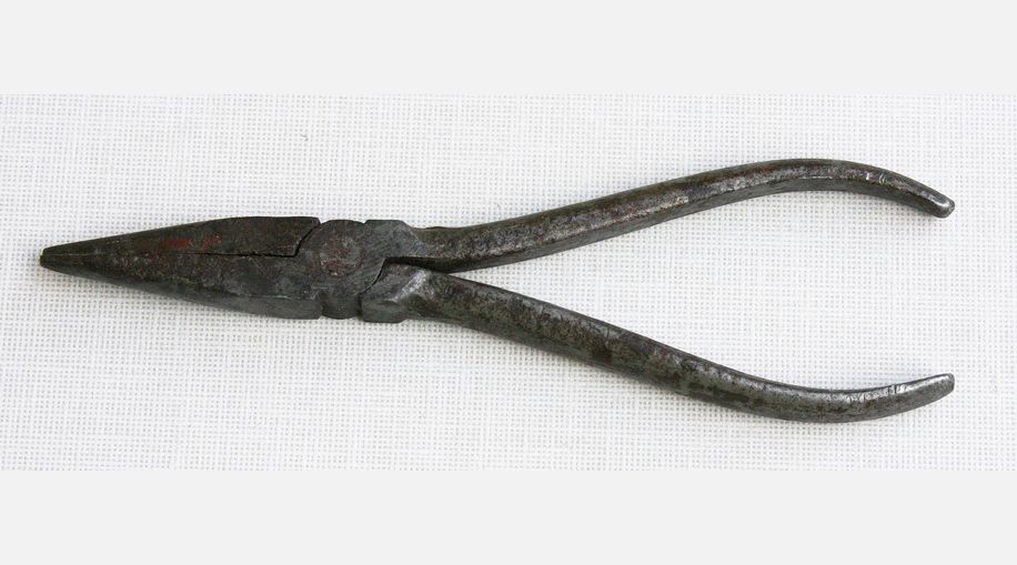 Ул да үрдәкборын.