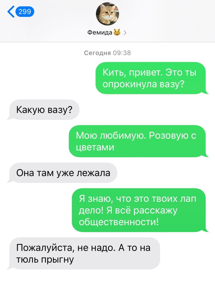 Скрин переписки Скрин переписки