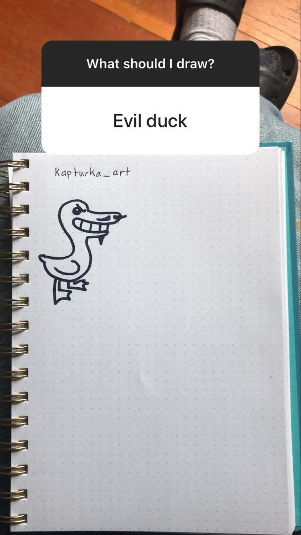 Источник: Инстаграм pet_foolery