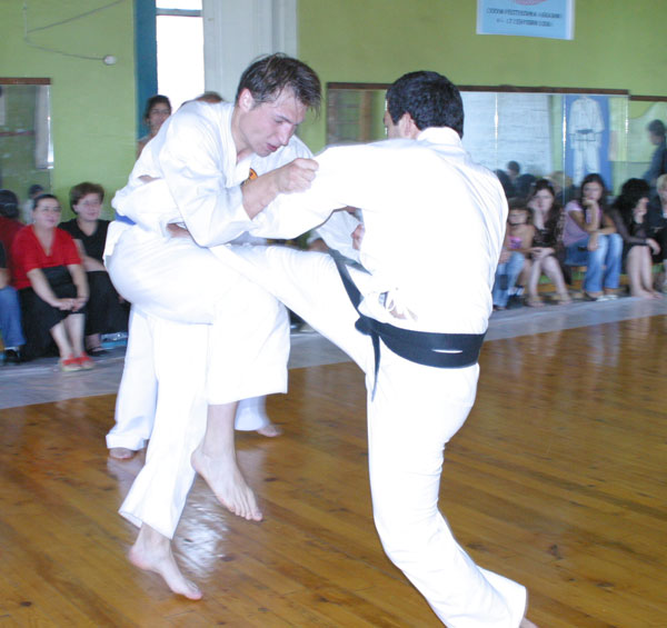 "Бесконтактный Шотокан"