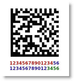 
Рис. 1. Пример кода маркировки