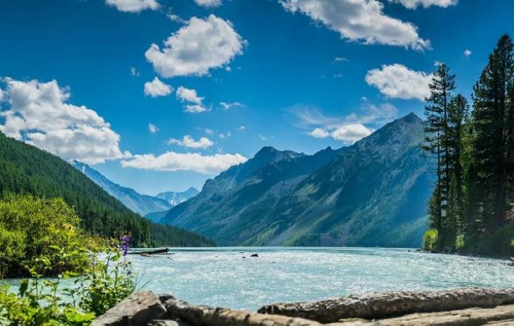 Алтайский край, Россия