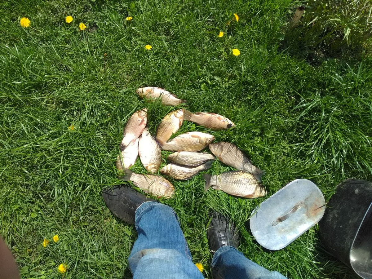 Улов мая прошлого года