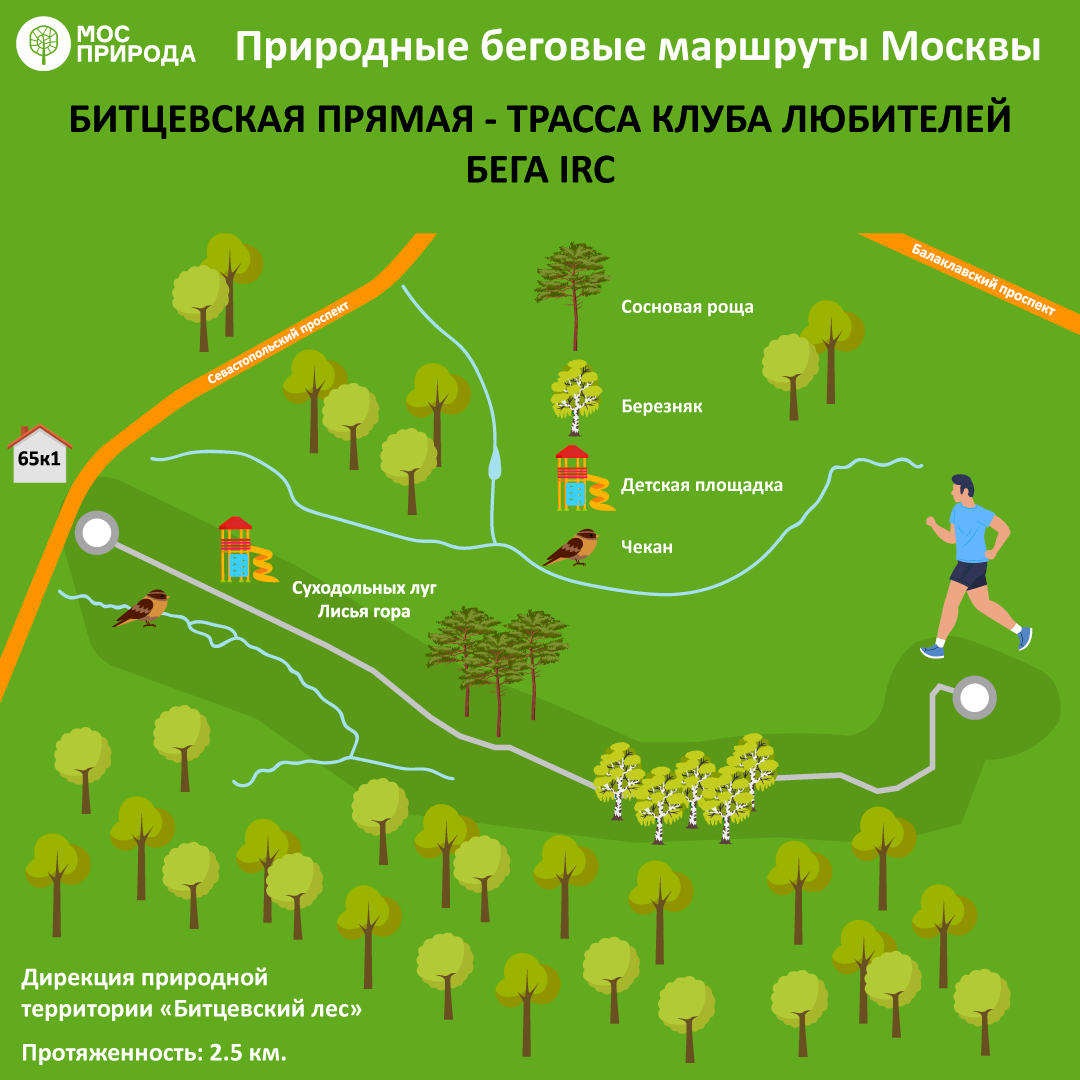 Как нарисовать беговой маршрут