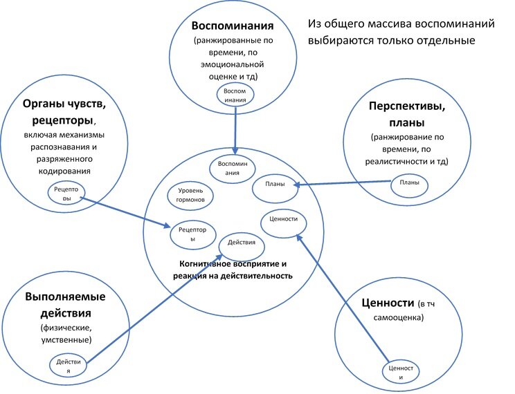 Из всего объема сигналов от органов чувств, из всех воспоминаний и т.д. в конкретный момент времени мы выбираем небольшую часть