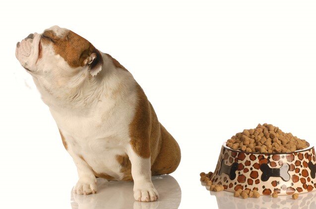 Фото из открытых источников свободного использования images.google.