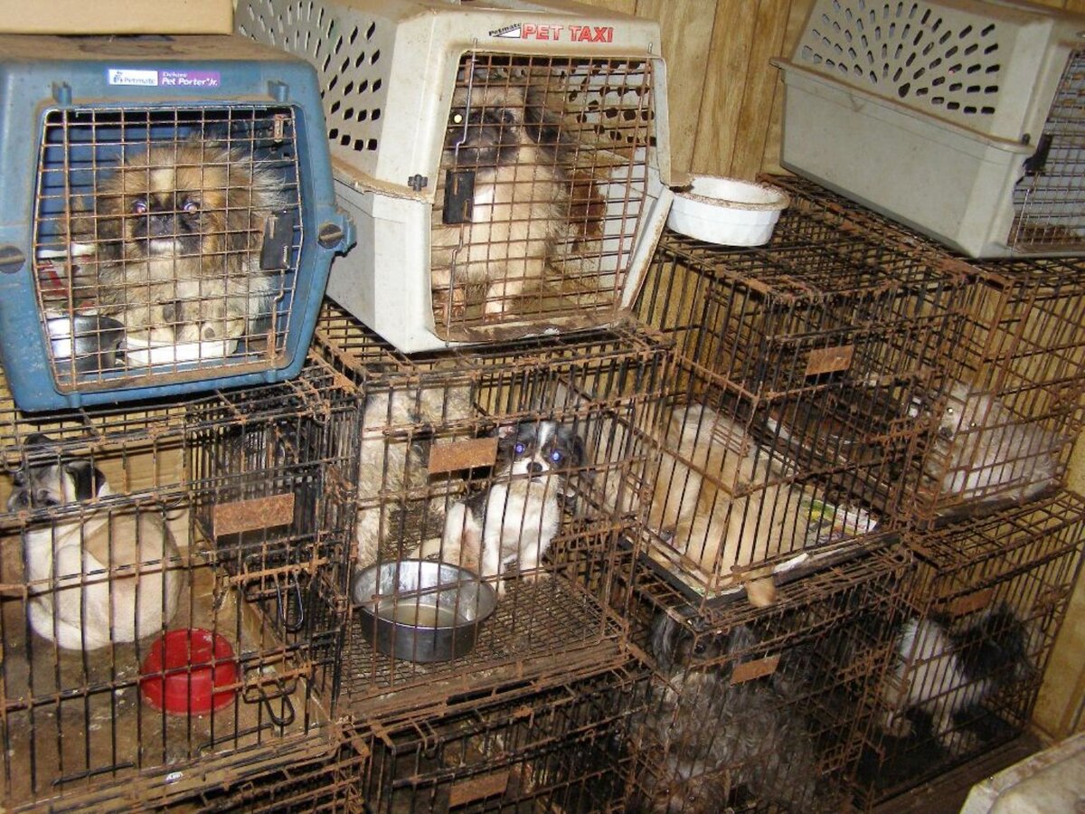 Фото из интернета. 