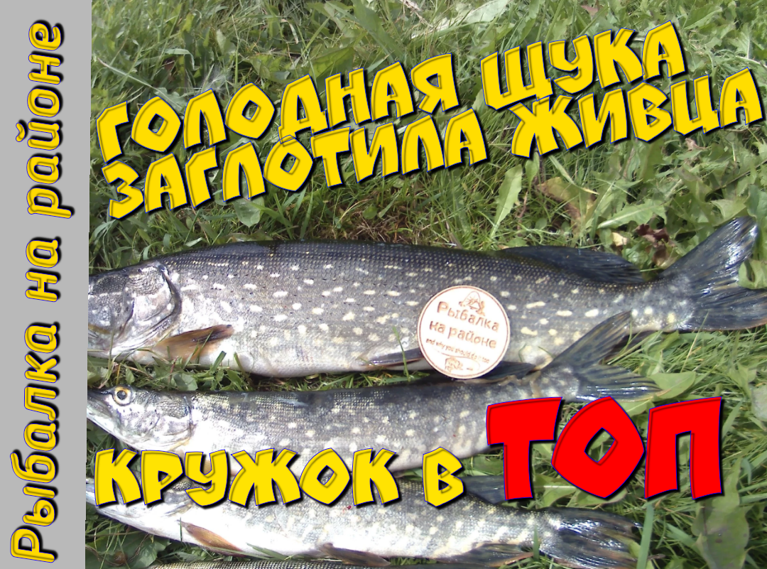 Обложка статьи