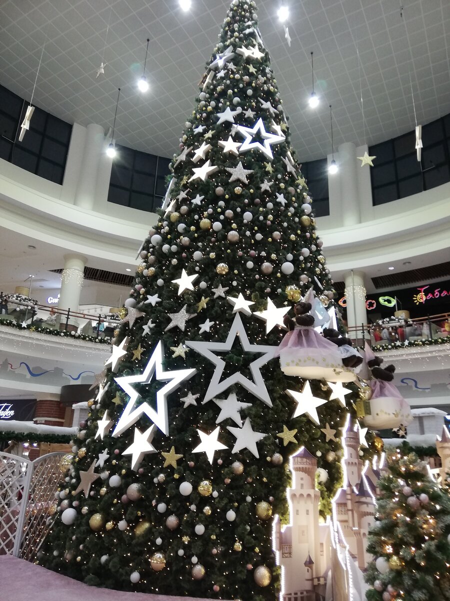 ТЦ Европа, Калининград