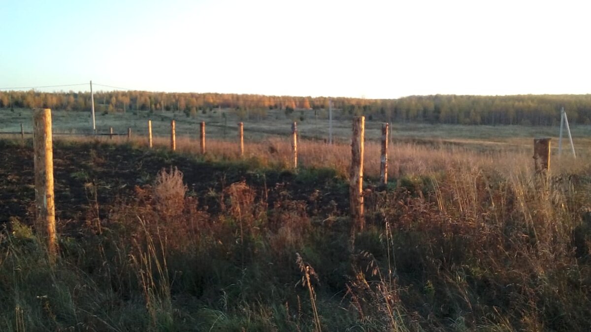 простоят лет десять, а потом ещё столько же, но с подпоркой. 