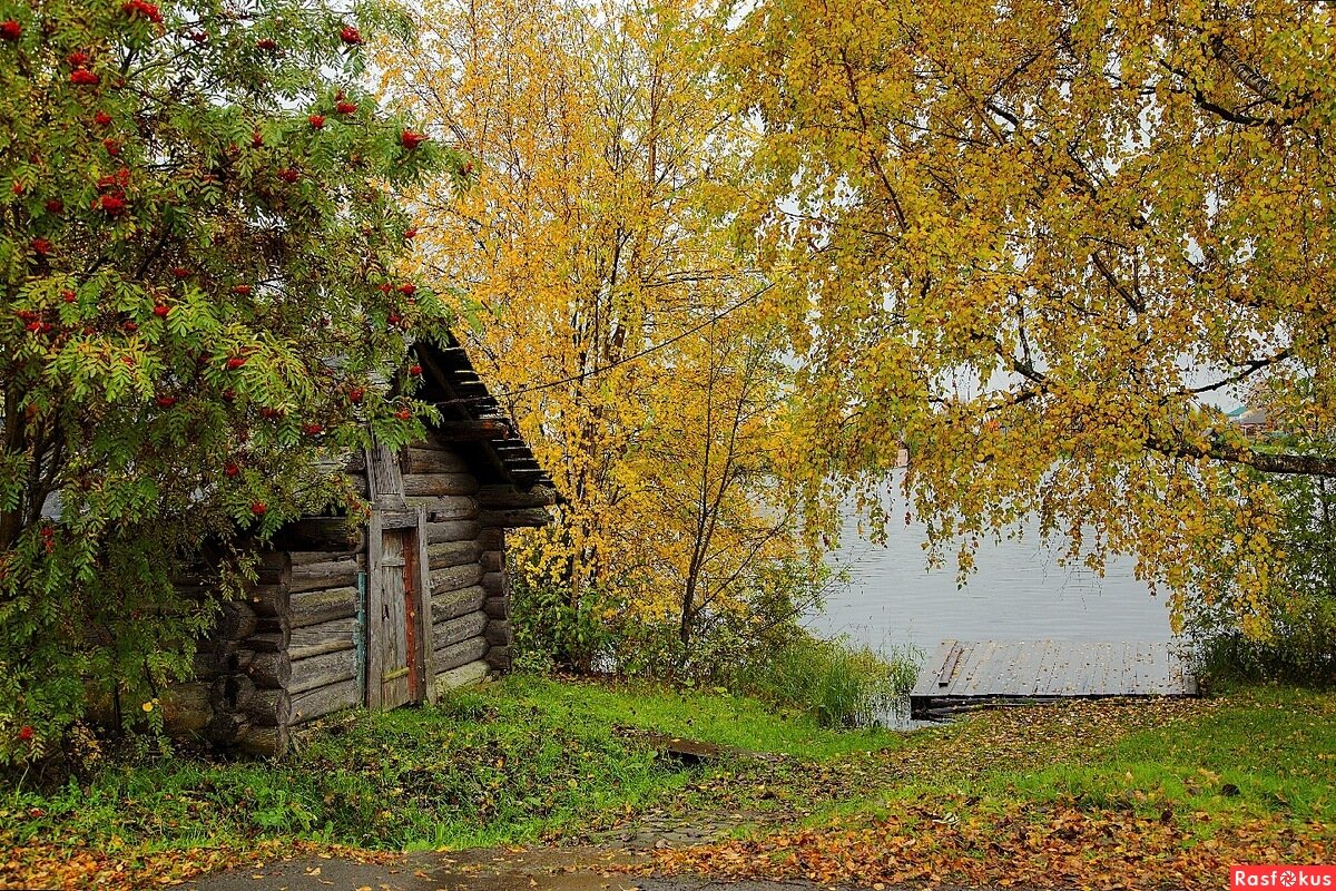 Фотограф Сергей Сыродоев