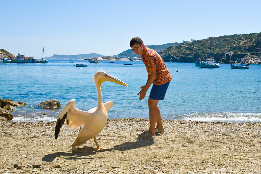 Фото из интернета. Яндекс Картинки.