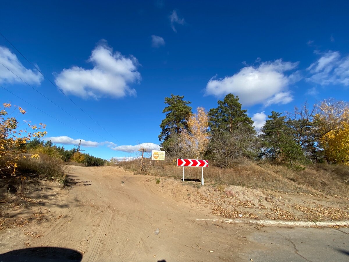 Белки в тольяттинском лесу