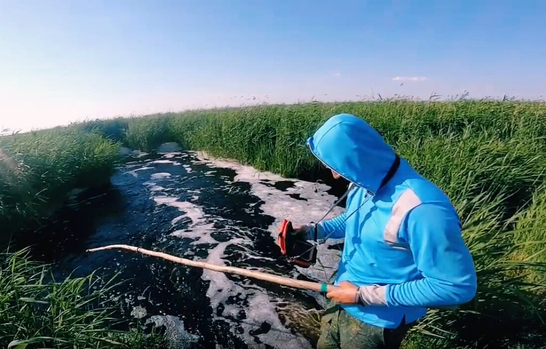 Стоит. сидит, смотрит в экран...