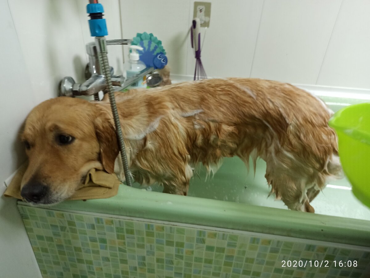 Безутешная Ляля