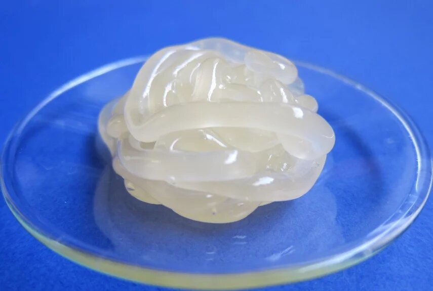 Фото: pixabay.com