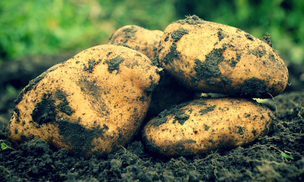 Классный картофель.