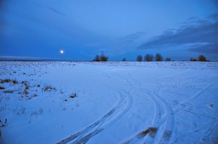 Идешь зимой по полю тишина. Снежная равнина Есенин. Зимнее поле. Ночное зимнее поле. Белая равнина.