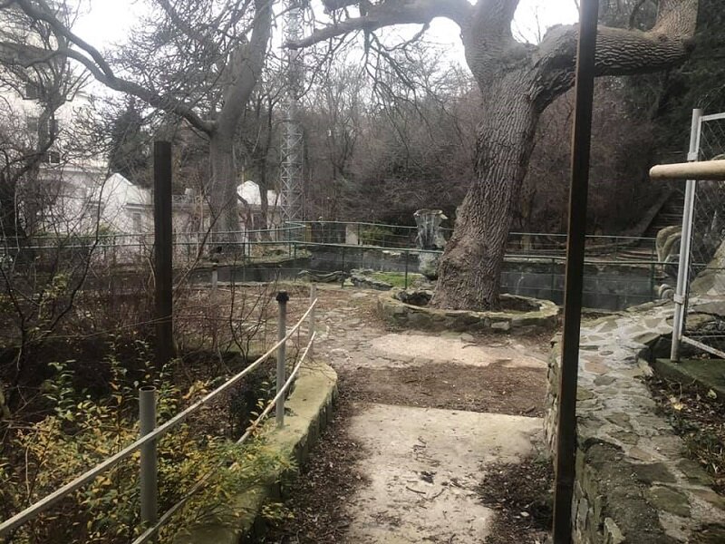 Ясная Поляна Гаспра