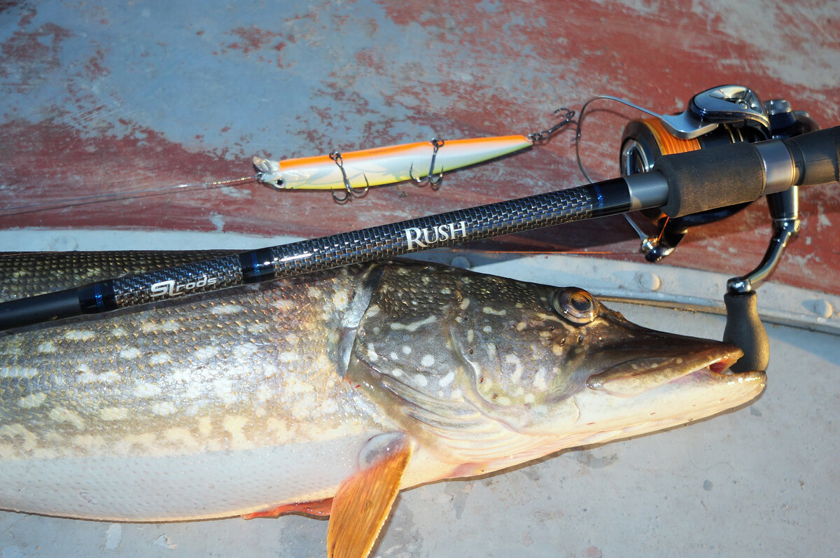 Большому рту - большой кусок, Fishycat Junglecat 140SP