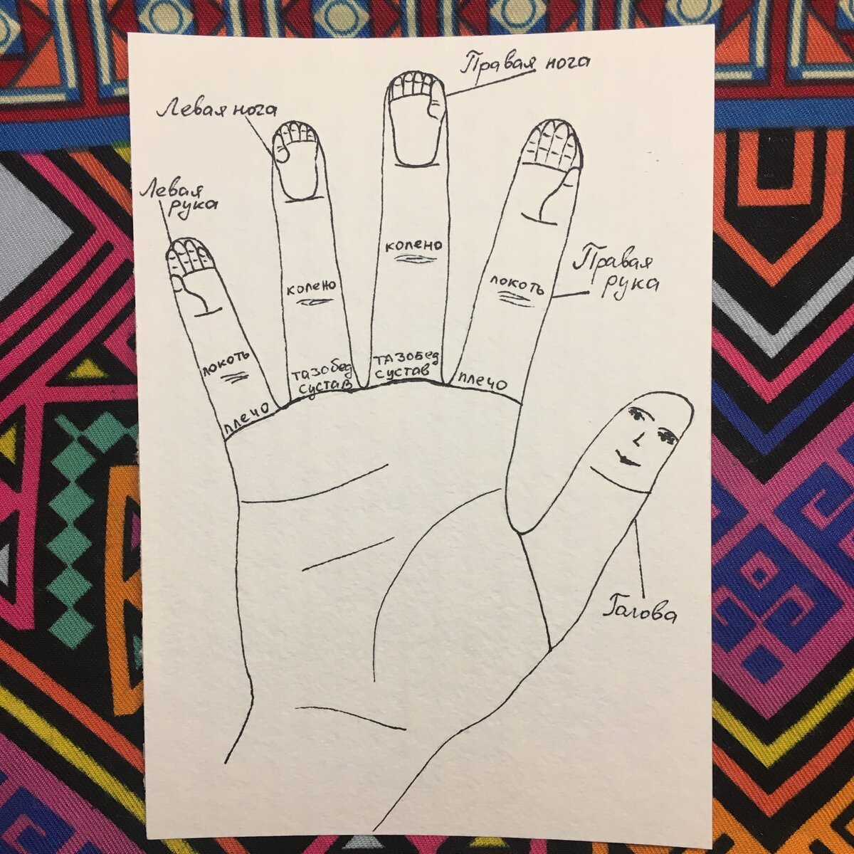 Су джок, проекция суставов