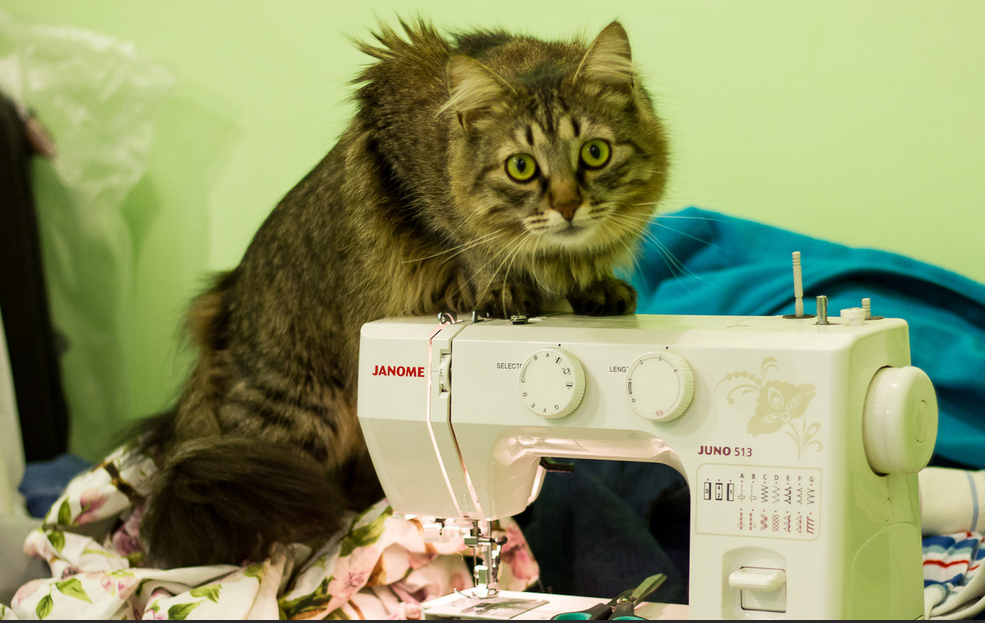 Ну что тебе стоит сшить мне подстилку-когтедралку, а? Источник - на сайте /mellysews.com, Перевод и адаптация текста автора статьи