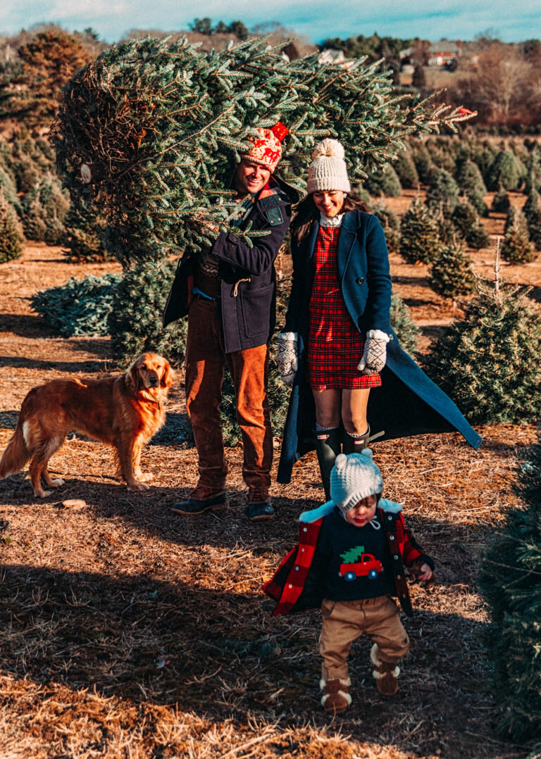 Источник: elkiigolki.ru