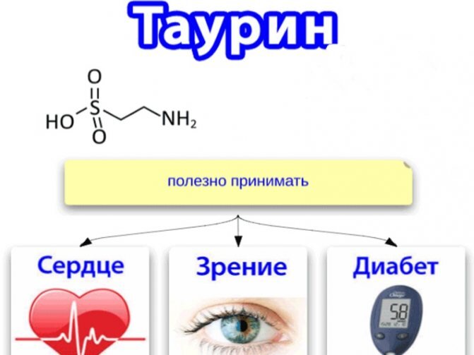 Профессор Шиповский на передаче 