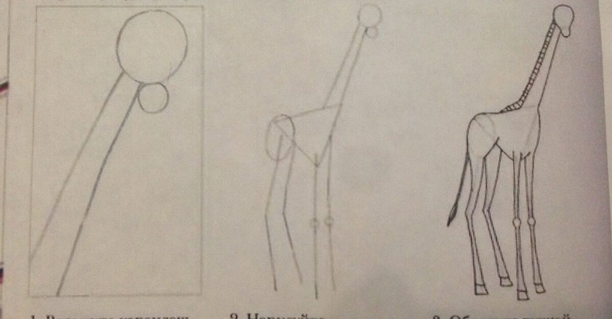 Обратите внимание на то. из каких частей и фигур состоит туловище жирафа . В какой части листа вы хотите его нарисовать. Не нажимайте сильно на карандаш.