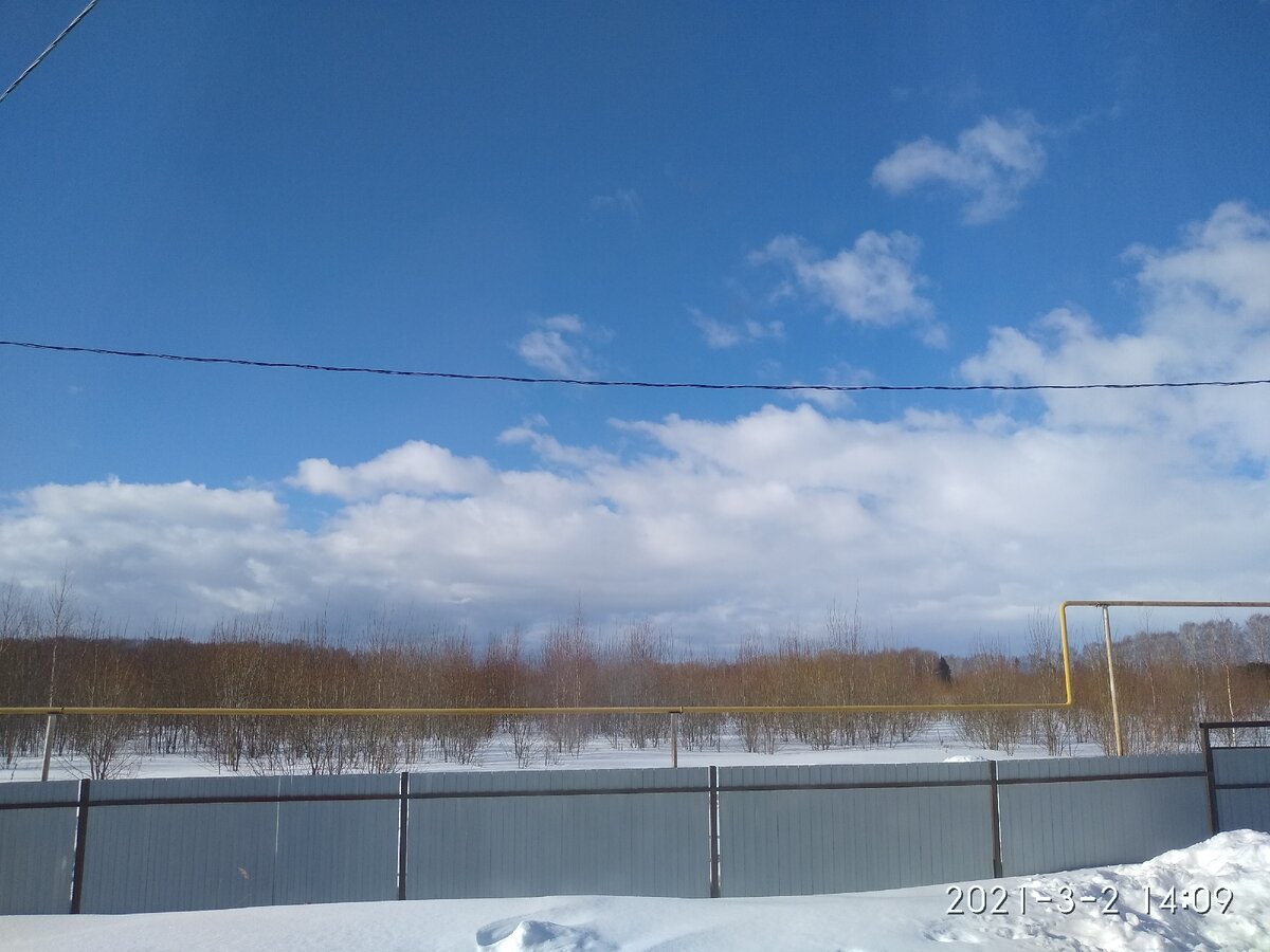 Мартовская весна