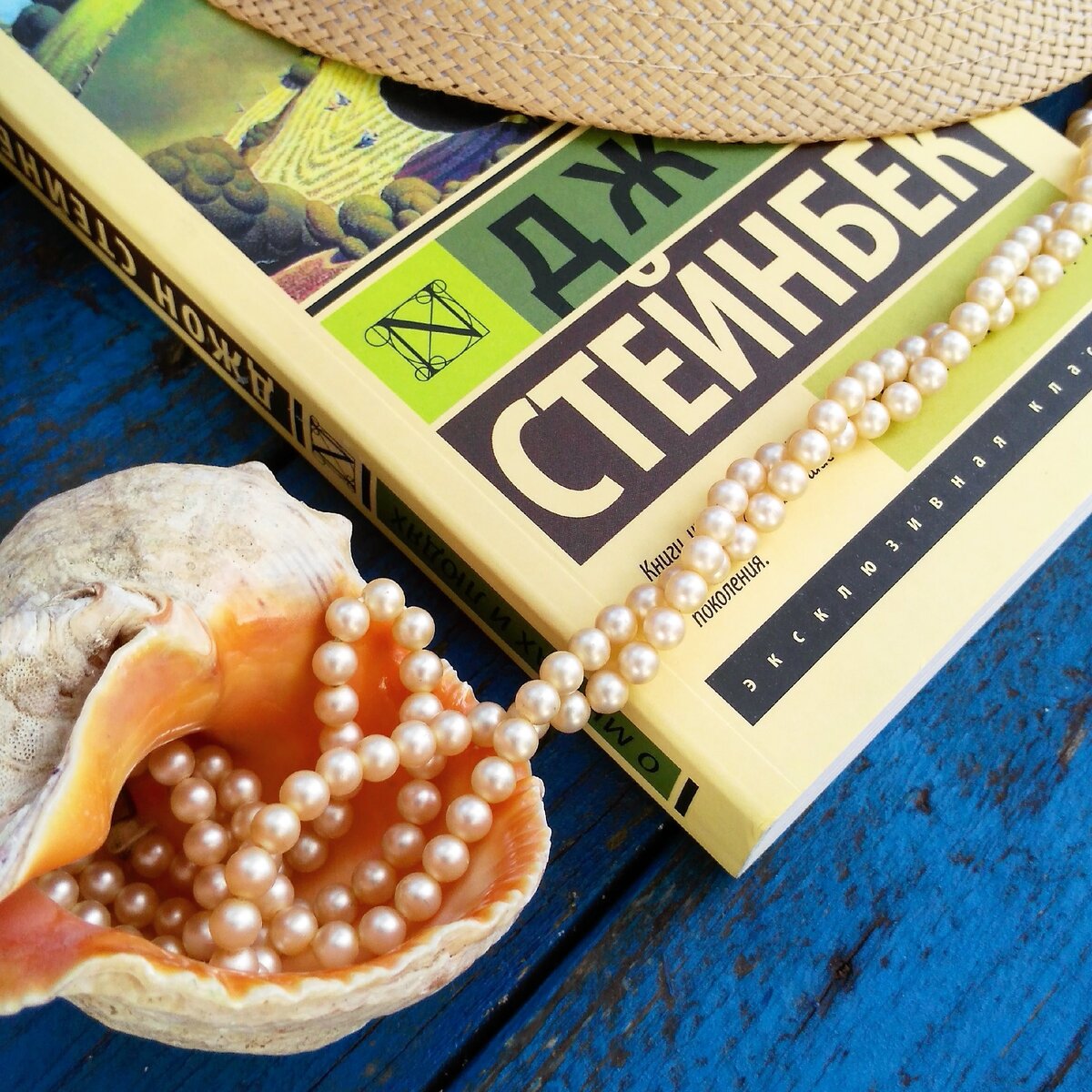 Фото взято с сайта livelib.ru пользователя Adazhka (https://goo.su/4GTs)