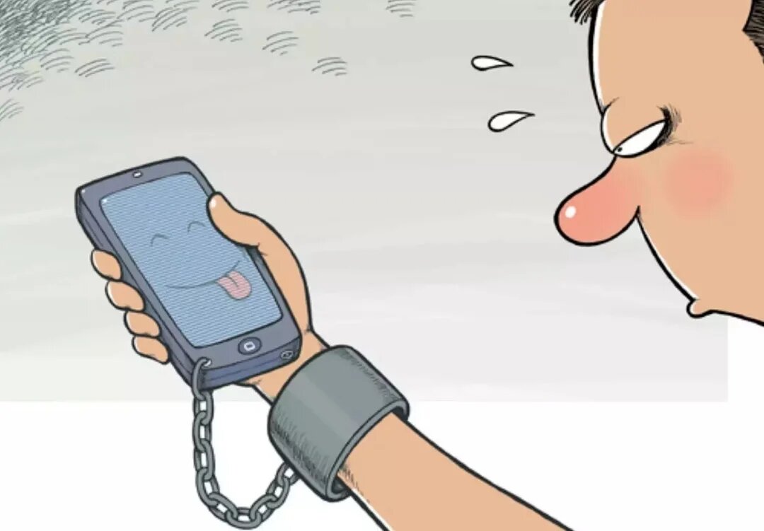 Фото из сети Интернет. «Связаны одной сетью»