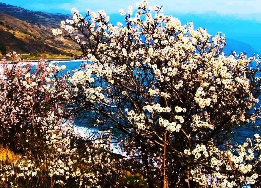 март в Крыму