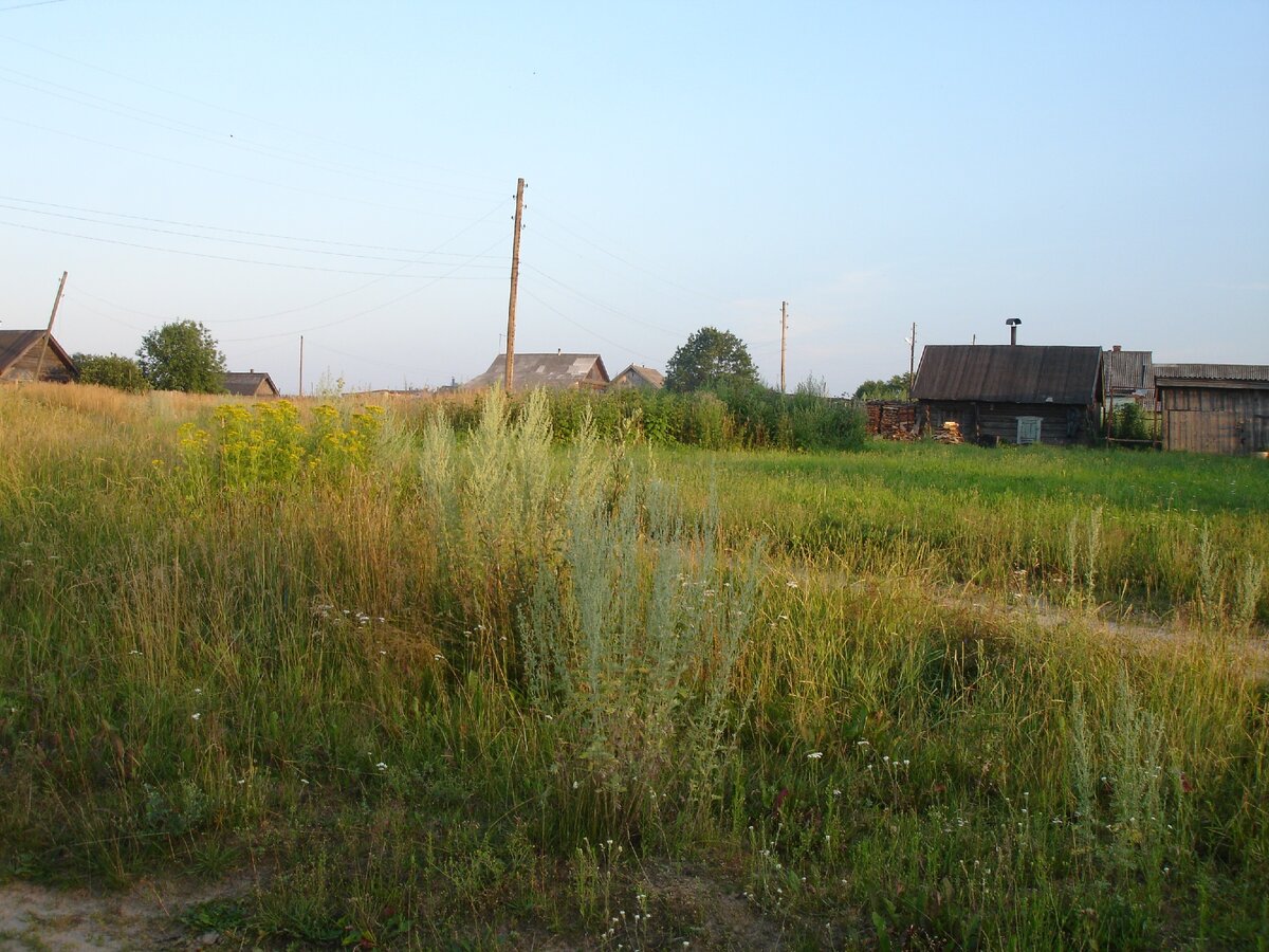 Наша деревня, в которой осталось очень мало жителей