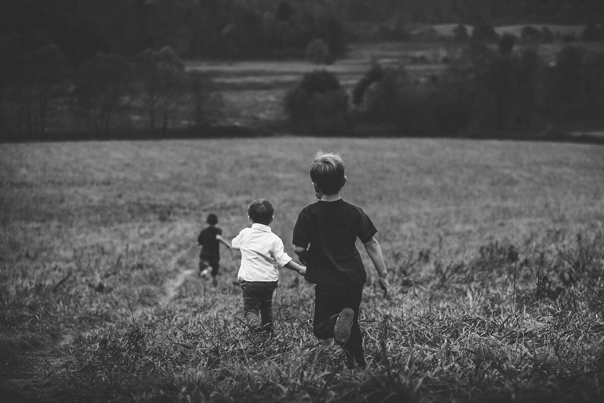 Изображение Free-Photo с сайта Pixabay