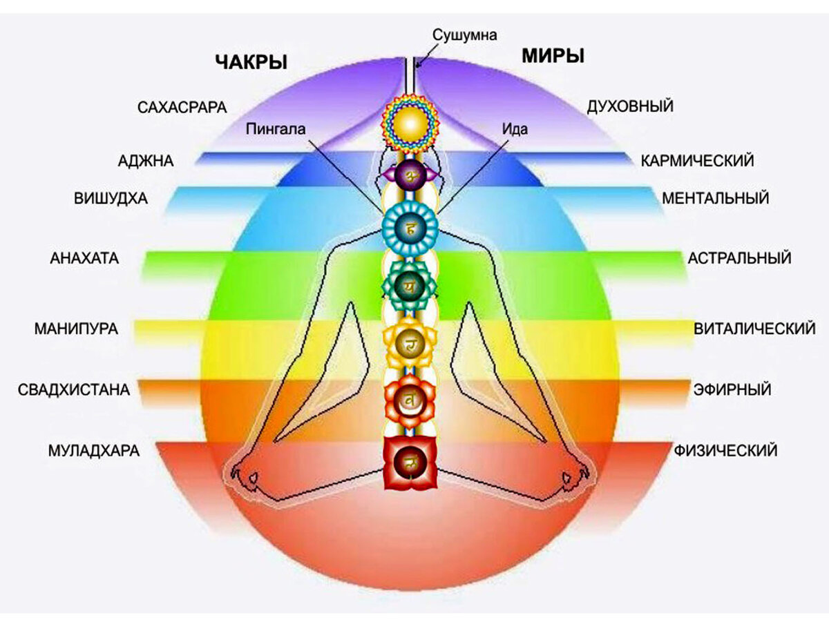 Основные чакры человека схема краткое описание