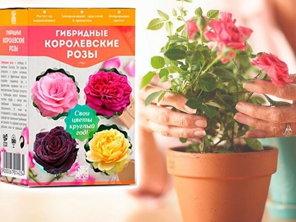 Фото с сайта продавца. Мы умышленно не даем ссылку на авторство фото, дабы не рекламировать мошенников