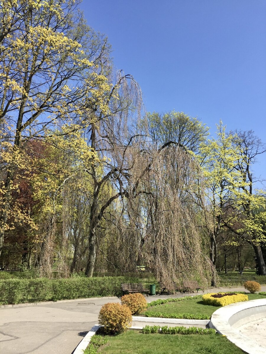 Отпуск весной тоже прекрасен.Калининградский зоопарк