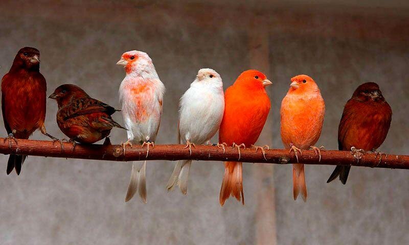 Источник Litbro.ru