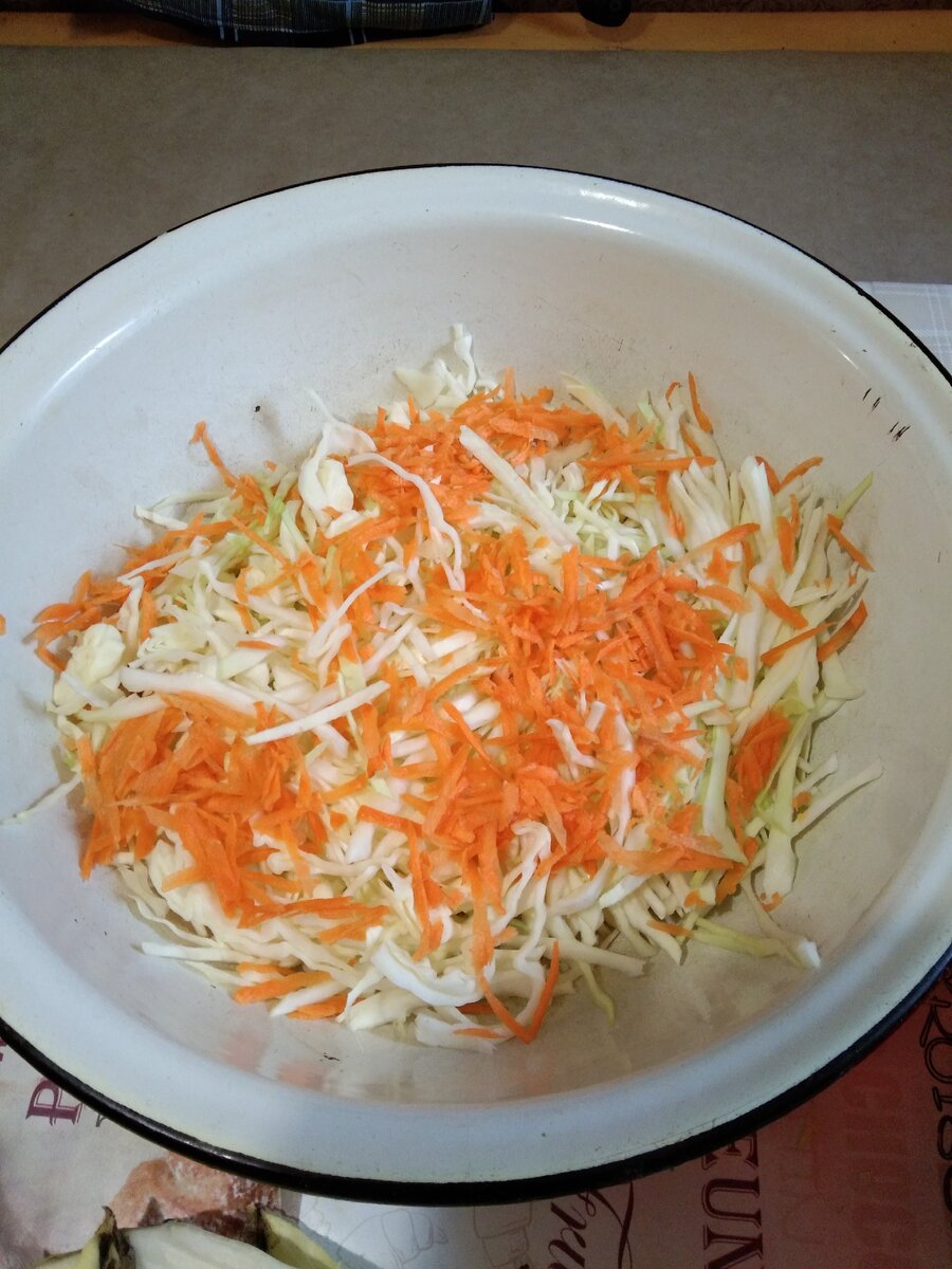 Нашинковала капусту и натерла морковь. Немного перетерла ее без соли. Капуста магазинная, очень твердая и малосочная.
