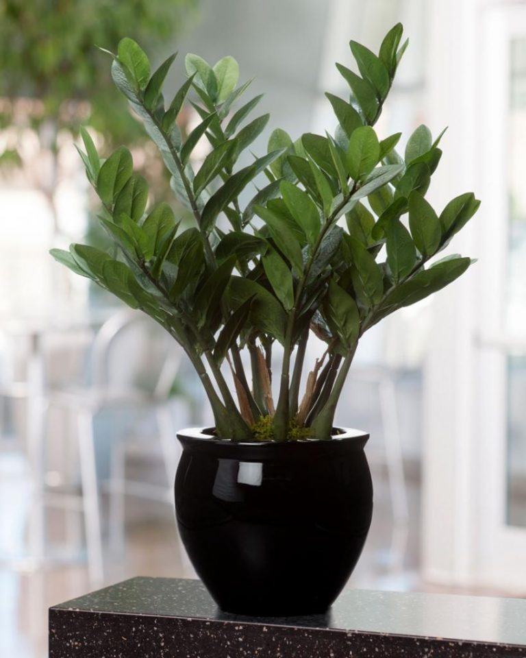 Источник Яндекс.Картинки