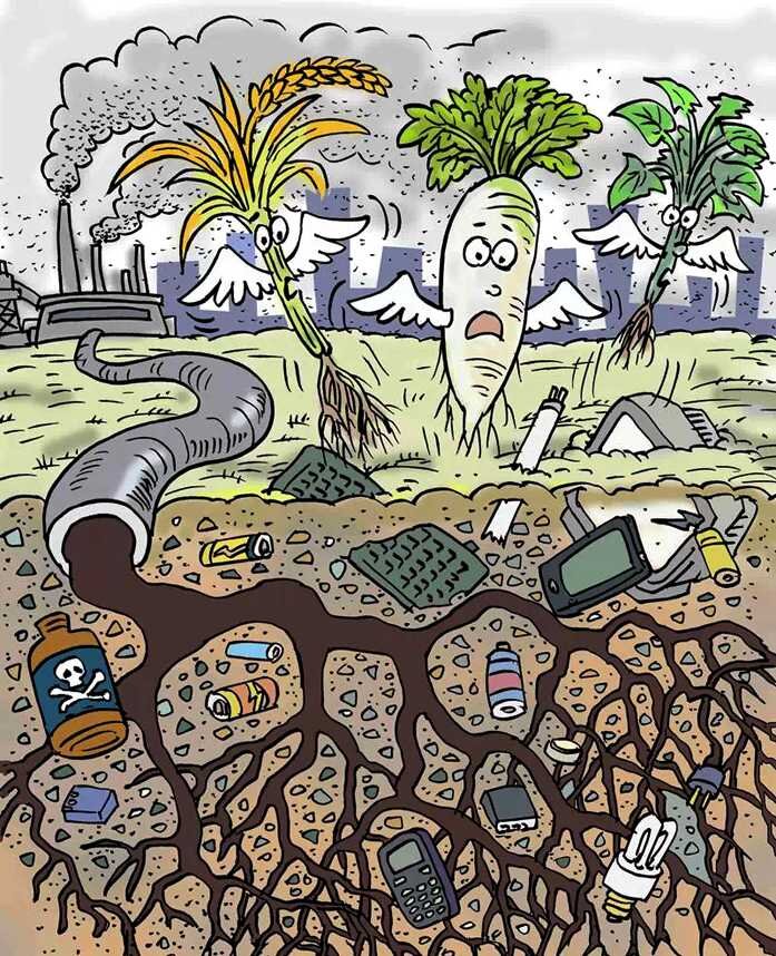 Пример того, как загрязнение почвы влияет на растения