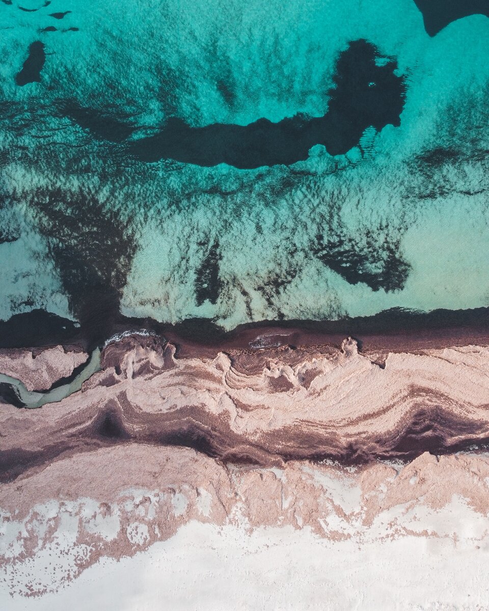 Фото из открытого источника https://unsplash.com/