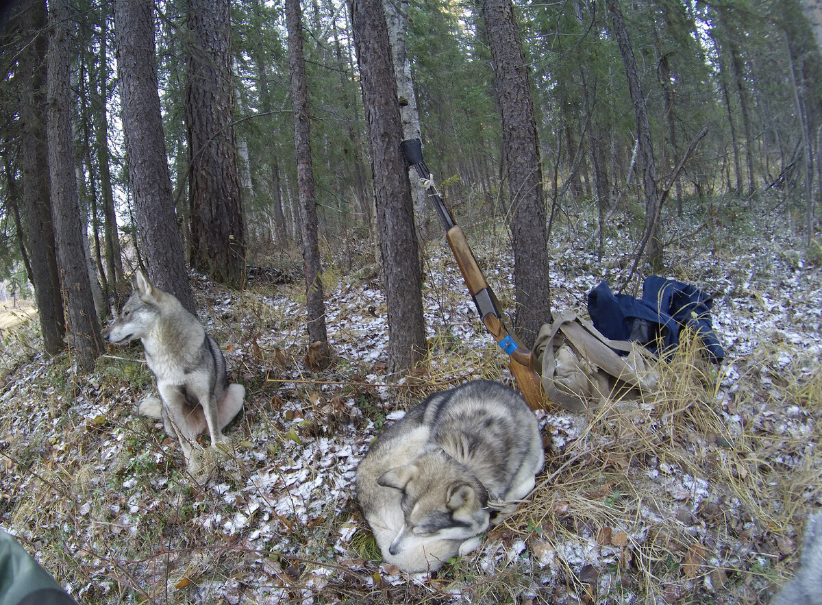 Для чего по вашему служит эта полоска синий изоленты на ружье? 