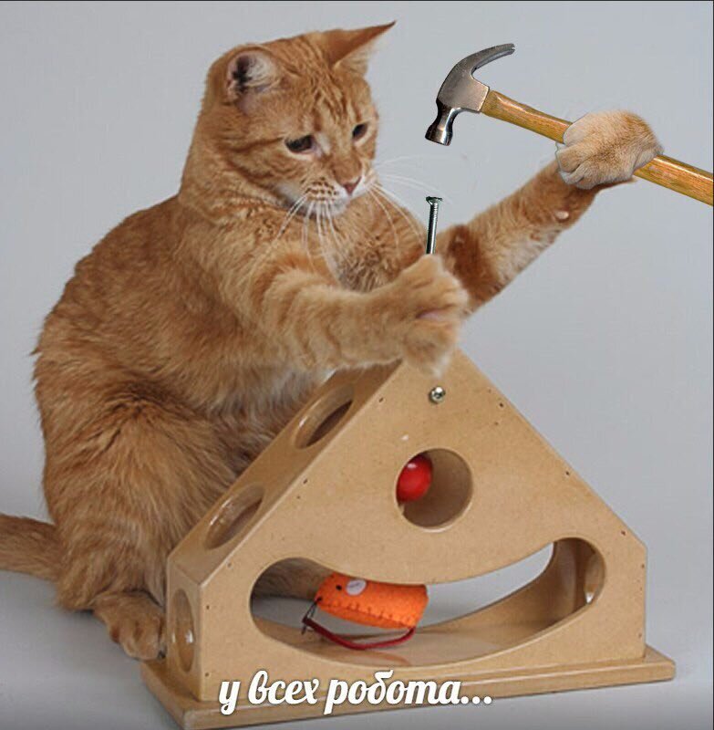 Рыжий плотник