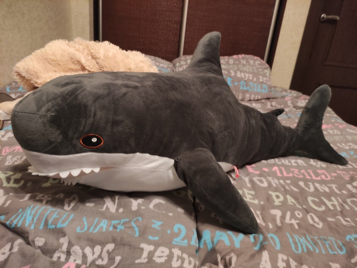 Личная фотография