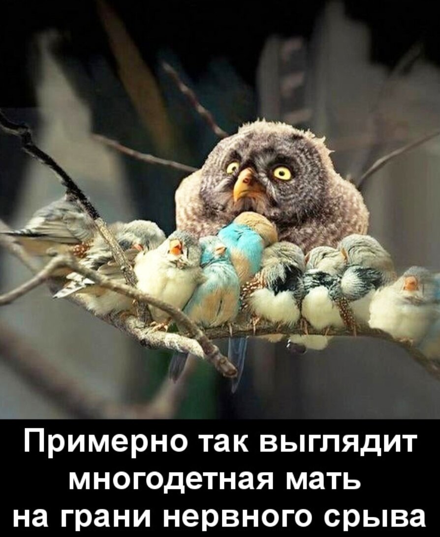Картинка с сайта demotos.ru
