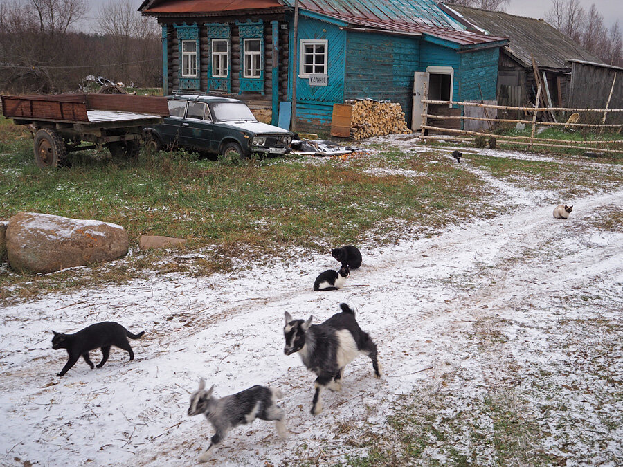 Веселая компания.