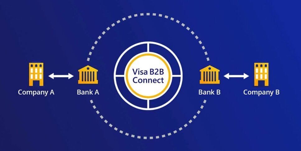 Сеть Visa B2B Connect. Источник: сайт Visa.